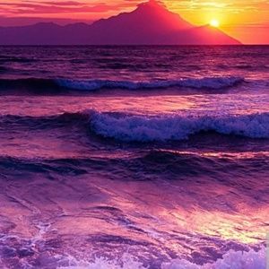 Meet your Posher, Malanyah